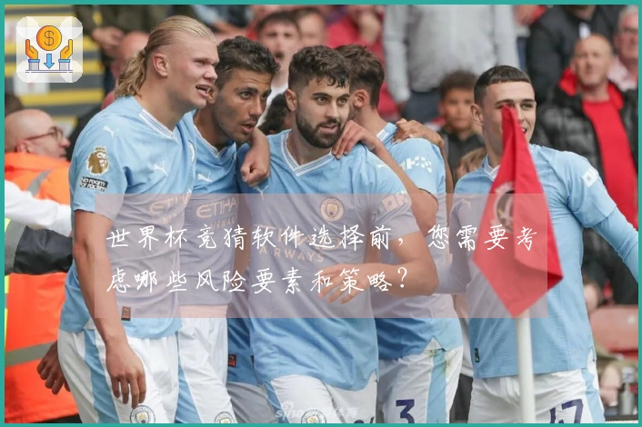 世界杯竞猜软件选择前，您需要考虑哪些风险要素和策略？