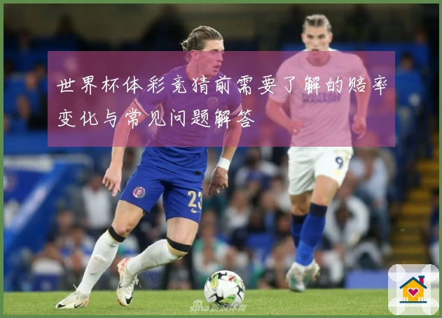世界杯体彩竞猜前需要了解的赔率变化与常见问题解答