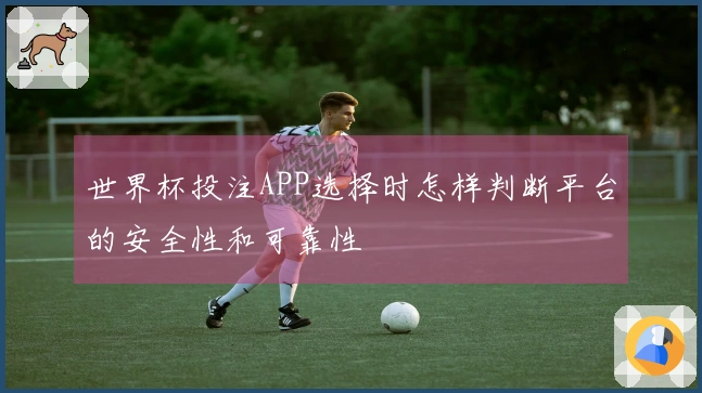 世界杯投注APP选择时怎样判断平台的安全性和可靠性