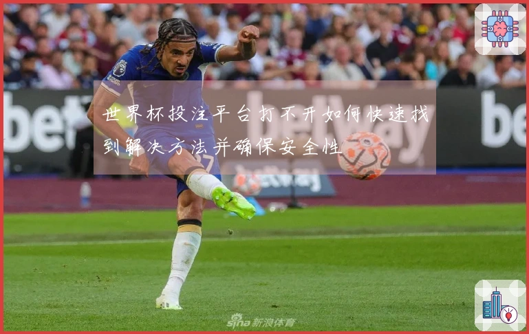 世界杯投注平台打不开如何快速找到解决方法并确保安全性