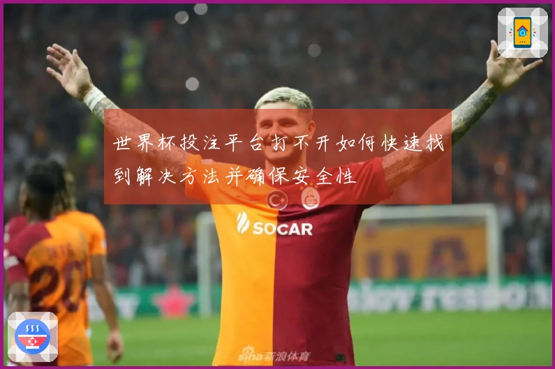 世界杯投注平台打不开如何快速找到解决方法并确保安全性